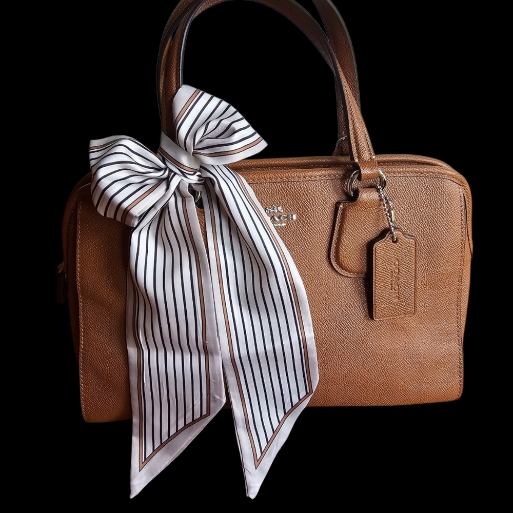 2ร Bag Twilly Purse Skinny Scarf Vintage Stripes